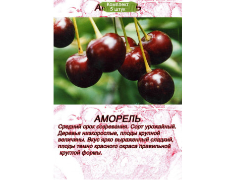 Вишня Аморель