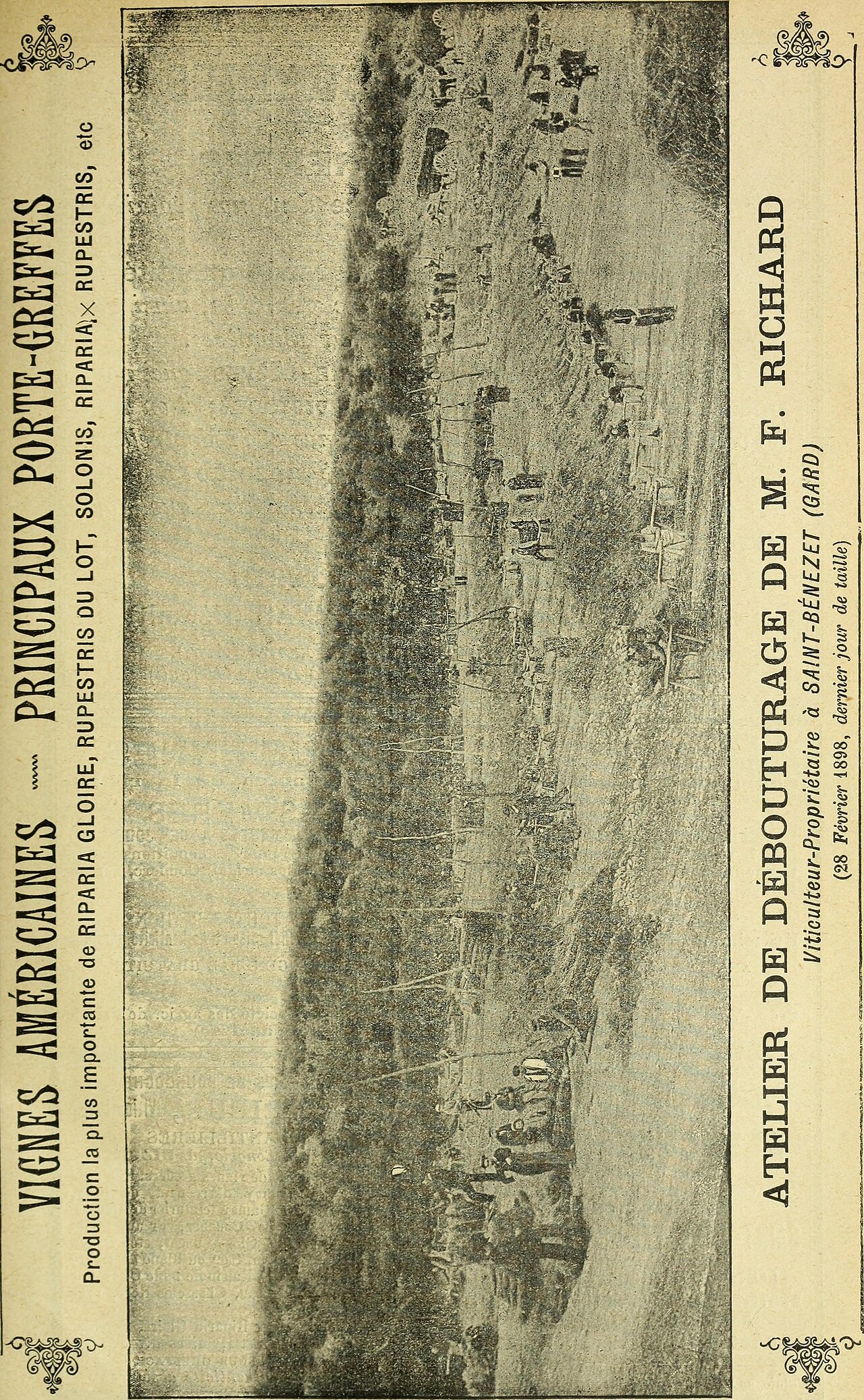 Роза Буль Парфюм