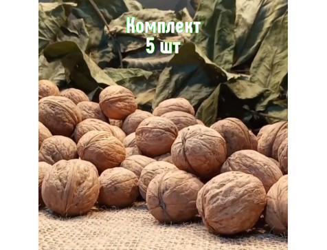 Грецкий орех Великан