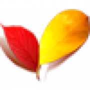 Флорини