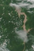 Роза Голубой Нил НОВИНКА ЧАЙНО-ГИБРИДНАЯ