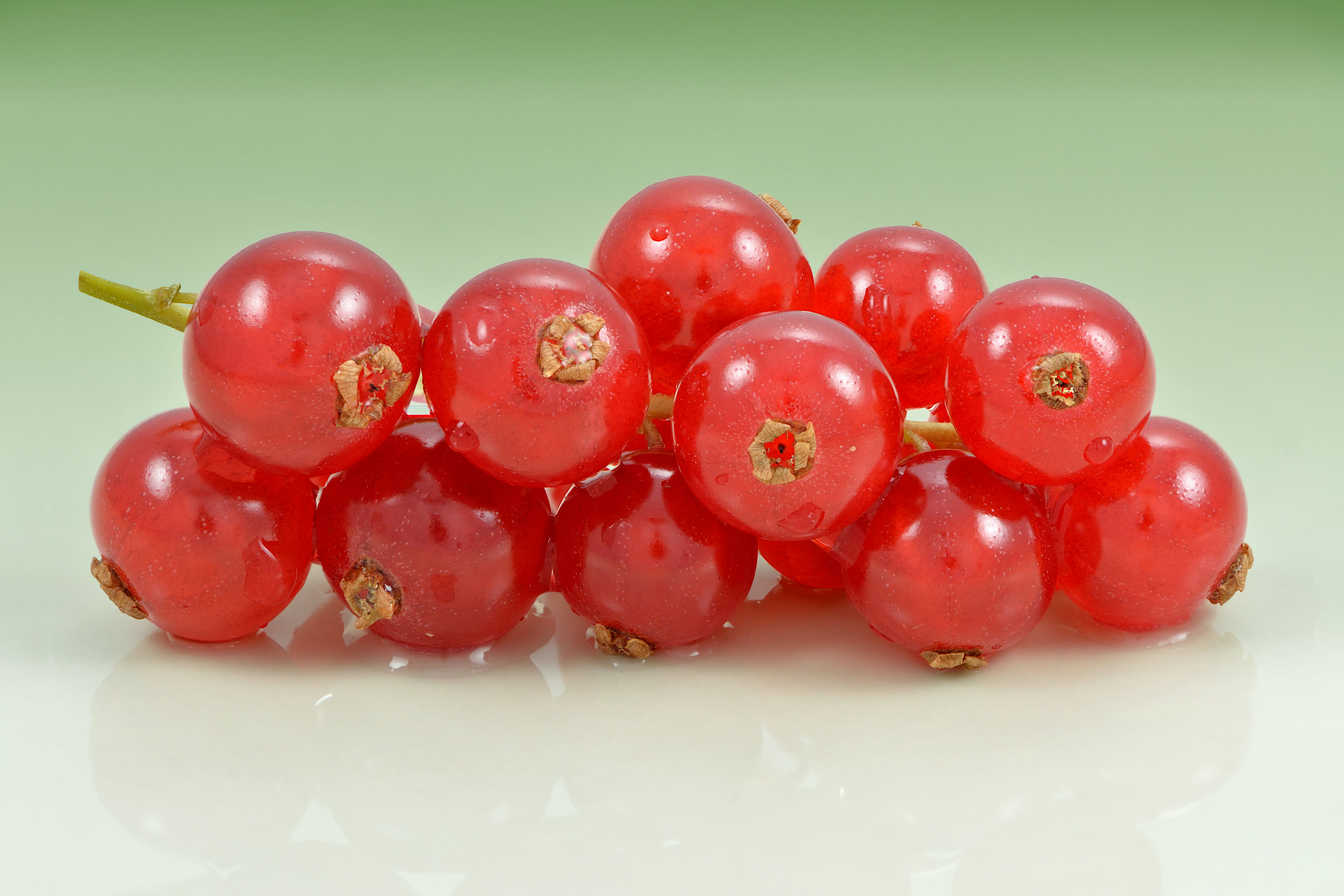 Смородина красная Ранняя Сладкая (Ribes rubrum)