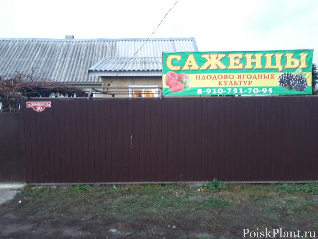 Изосимовский сад