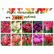 Тюльпан №2 Тюльпаны 10 шт