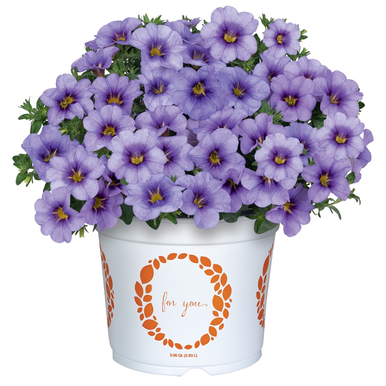 Калибрахоа Bloomtastic Blue Sky