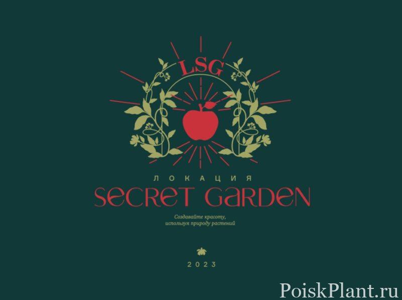 Локация Secret Garden – комнатные растения