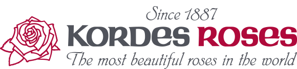 Kordes