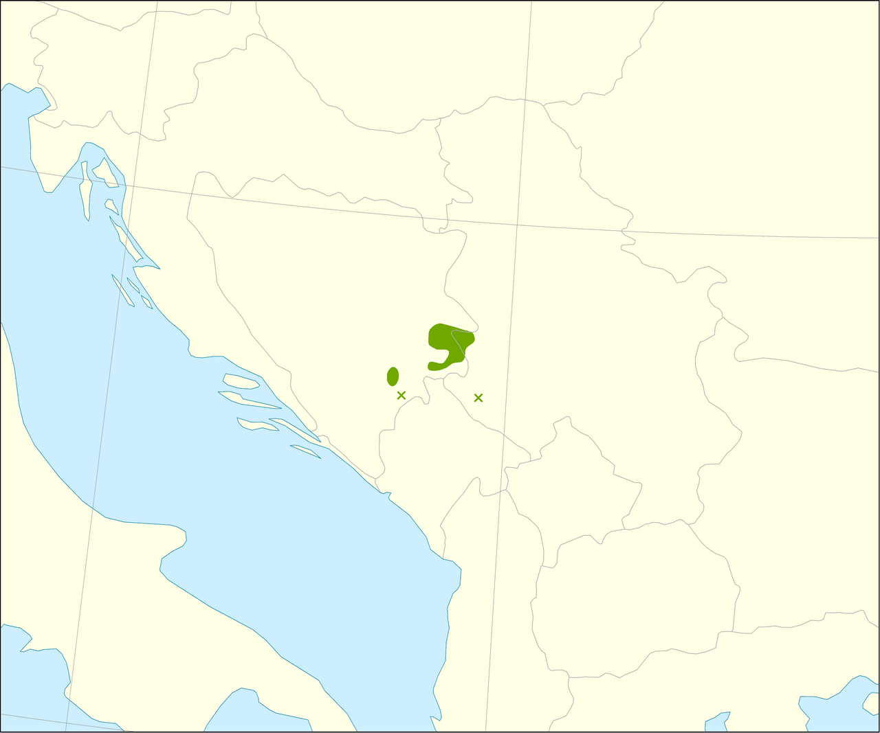Ель сербская Nana