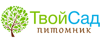 Роза Фокус покус