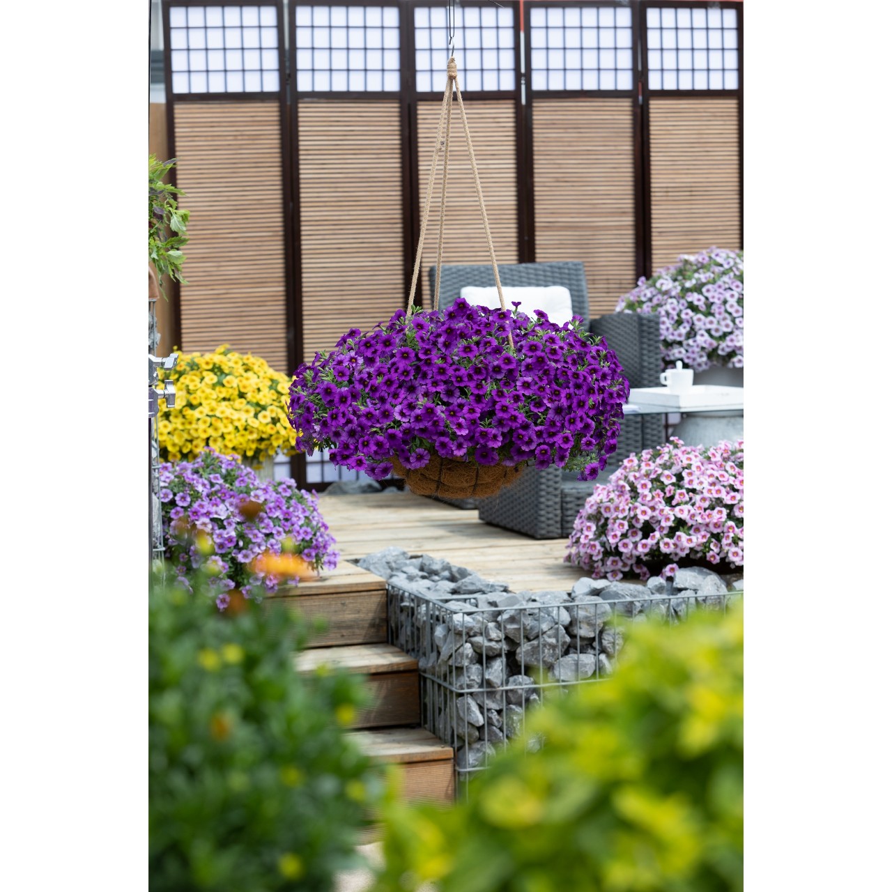Калибрахоа Bloomtastic Purple