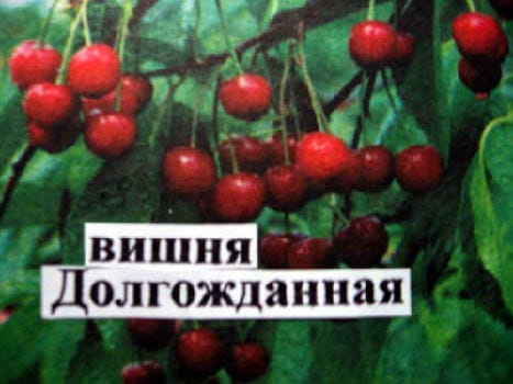 Вишня Долгожданная