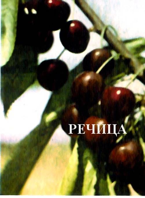 Черешня Речица
