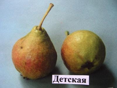 Груша Детская