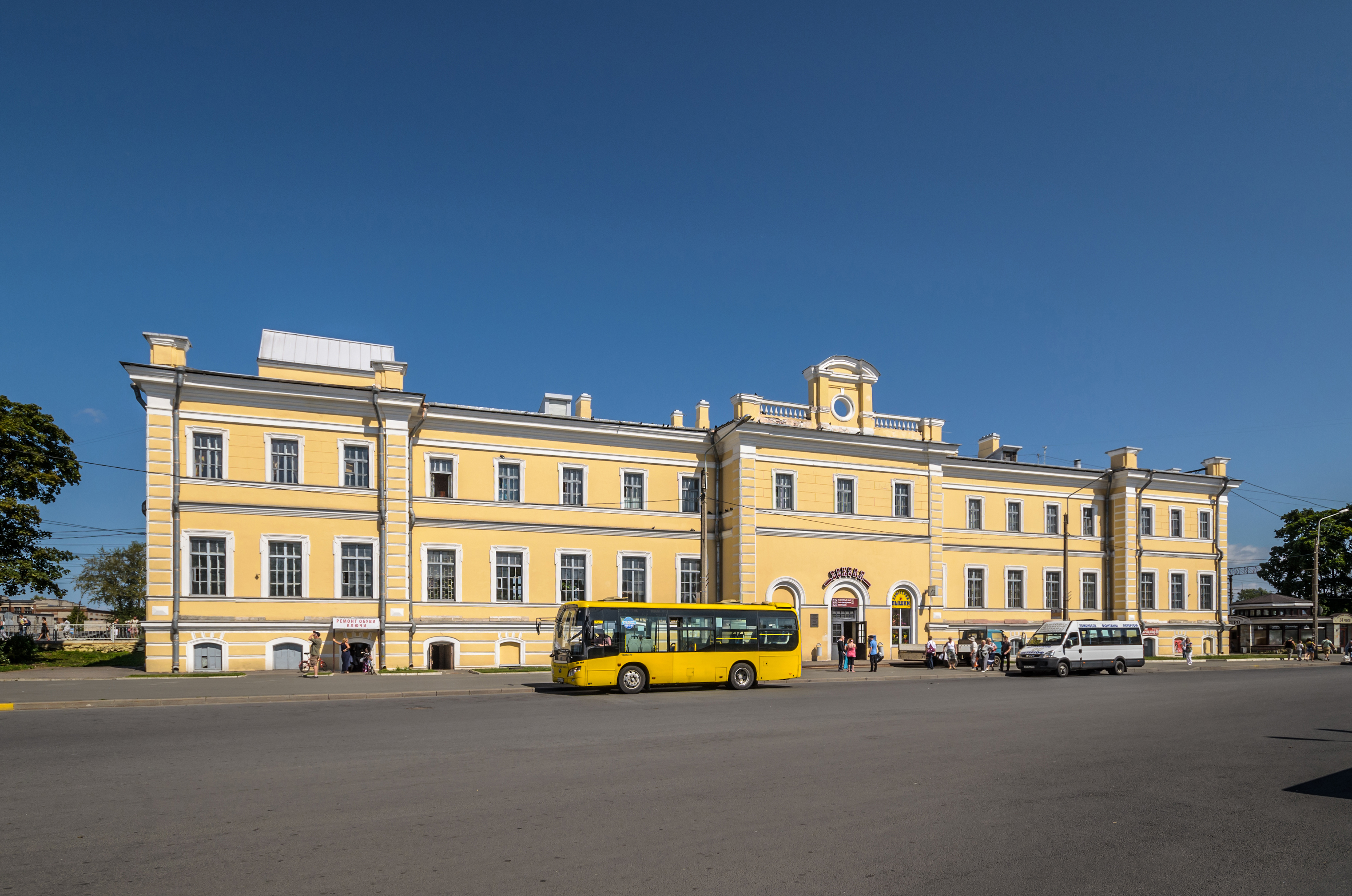 Роза Ломоносов)