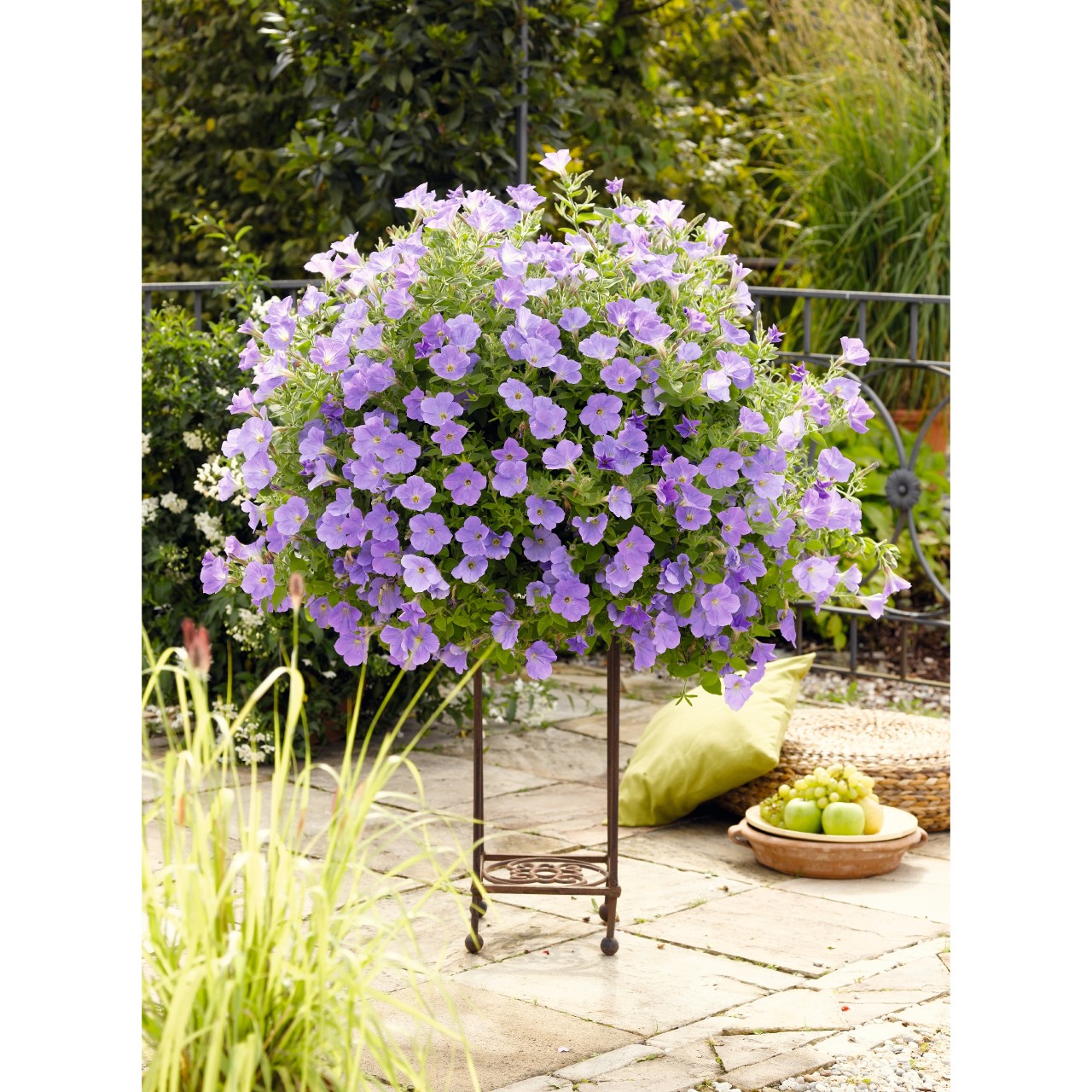 Петуния Sweetunia Blue Sky