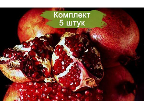 Гранат Восточный