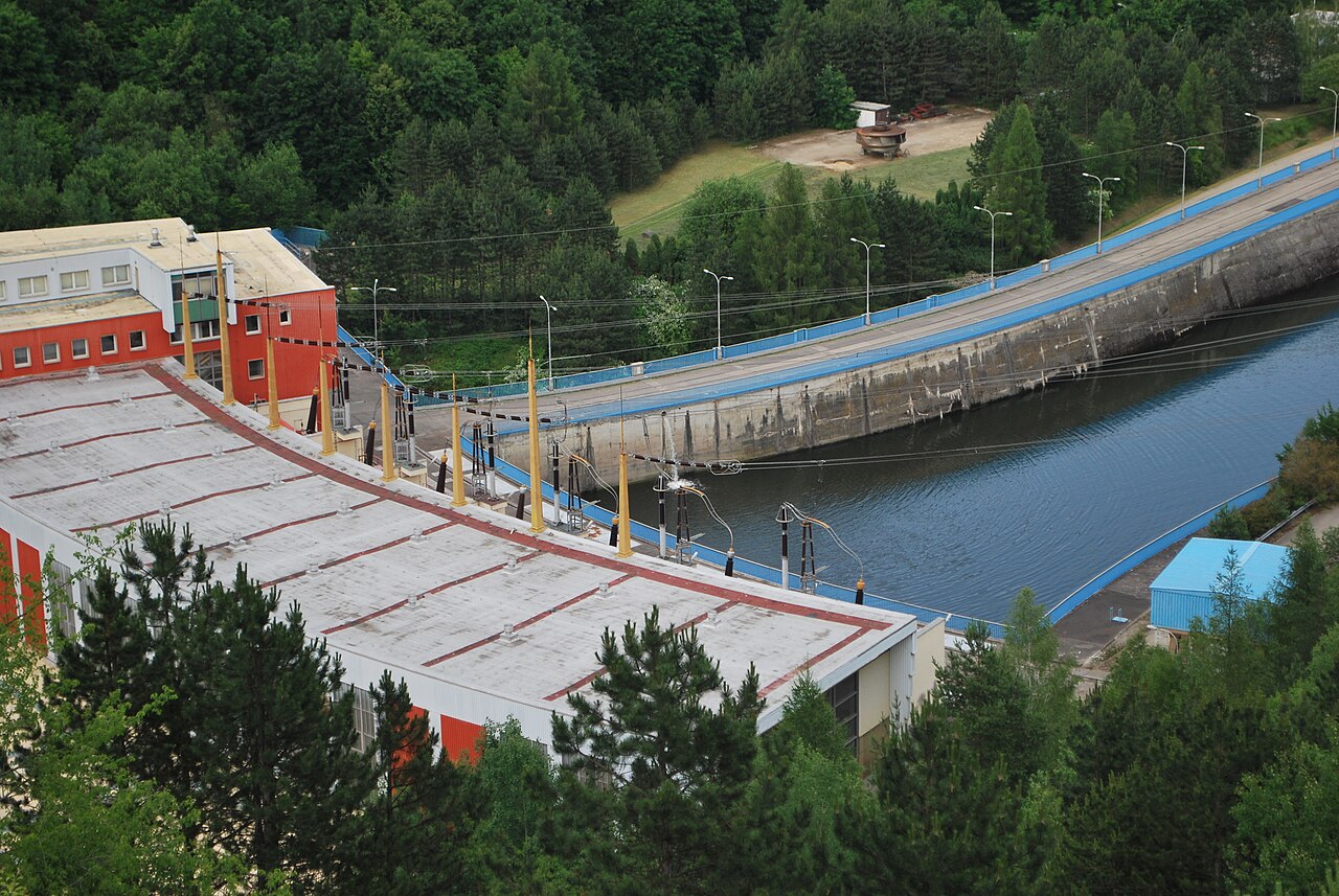 Роза Алибаба