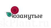https://rozanutye.ru/
