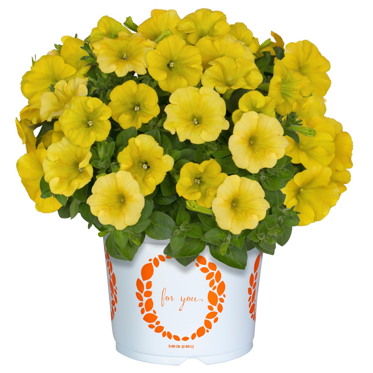 Петуния Sweetunia Canary Yellow