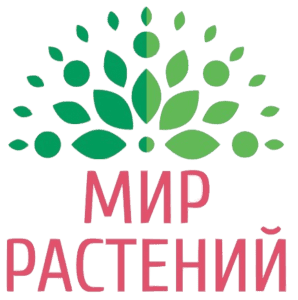 Мир растений
