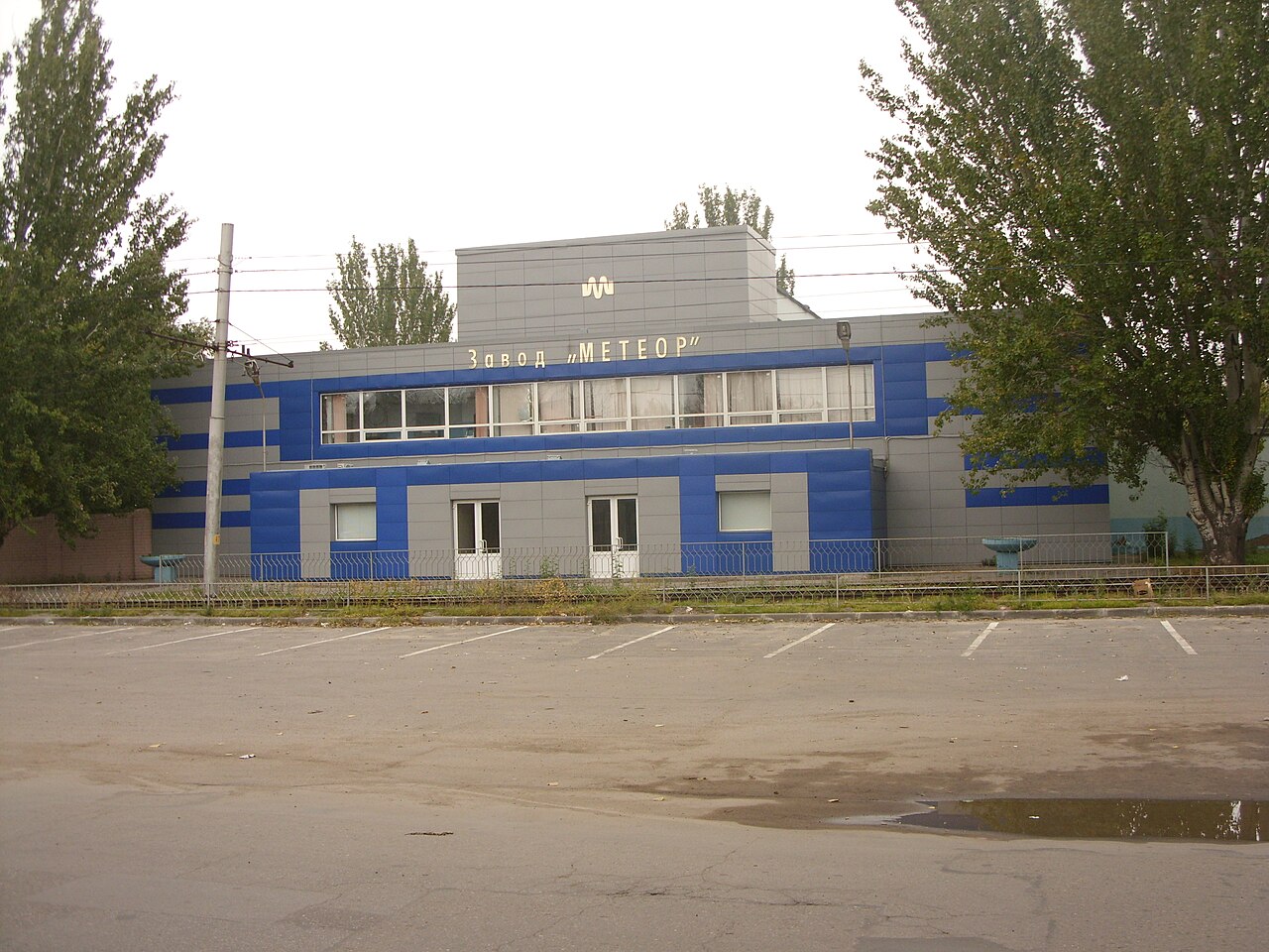 Роза Метеор НОВИНКА ФЛОРИБУНДА