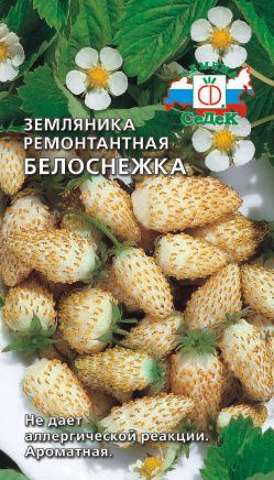 Земляника Белоснежка