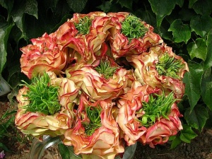 Роза Мата Хари