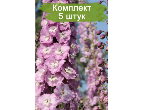Дельфиниум Центурион Пинк