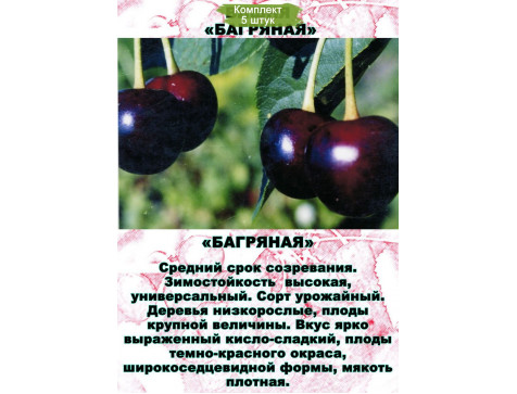 Вишня Багряная