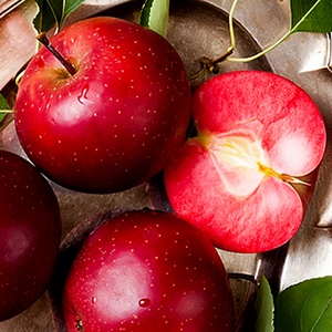 Яблоня "Baya Marisa"