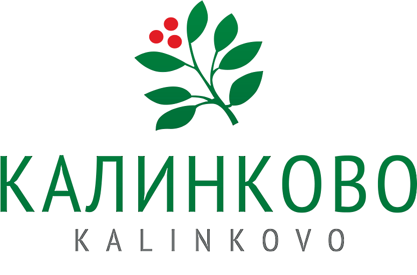 Роза Морщинистая (шиповник)