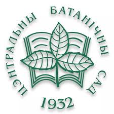 Криптокорина Вендта 'Ми Ойя'