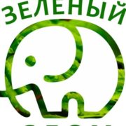 Зелёный слон