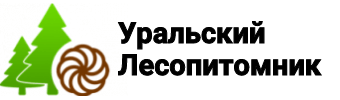 Сосна от 0,5 до 15 м