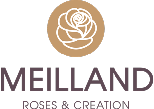 Meilland
