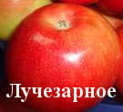 Яблоня Лучезарное