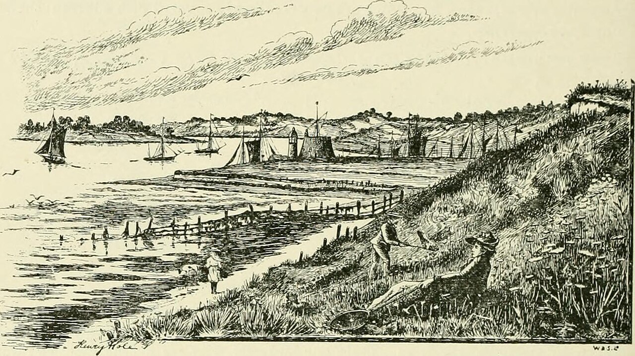 Роза Абсент Френдс