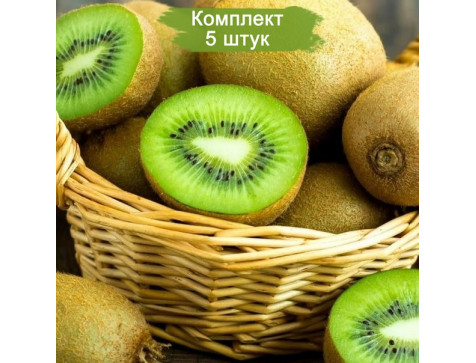 Киви Монти