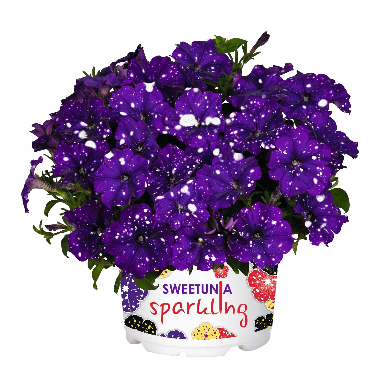 Петуния Sparkling Blue