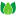 Моё дерево