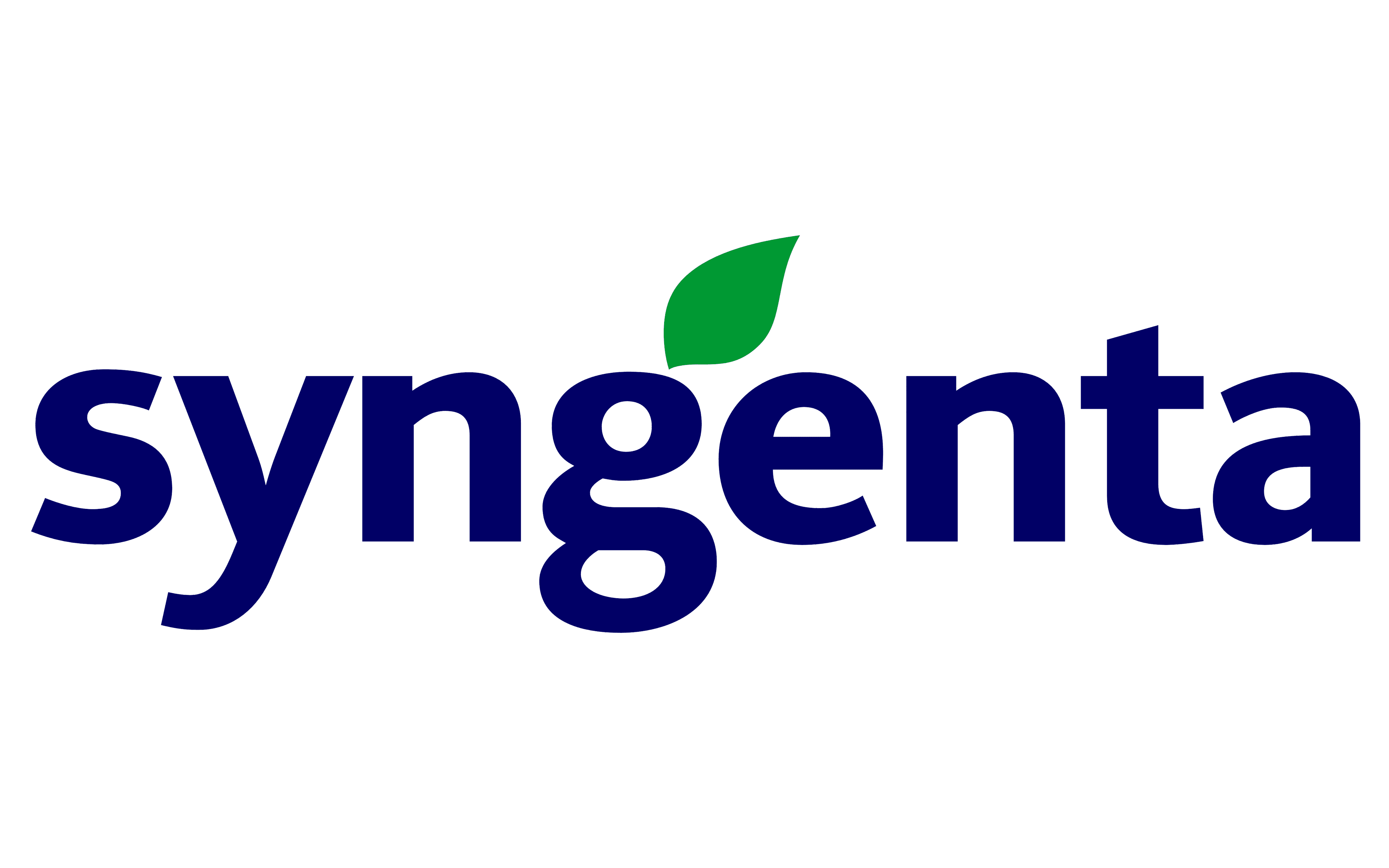 Syngenta Flowers