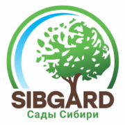 SIBGARD