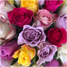 Роза в ассортименте (Rose)