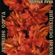 Гладиолус Волчья Луна 2 шт/уп