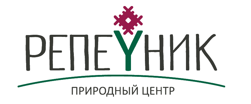 Яблоня декоративная "Рудольф" C10