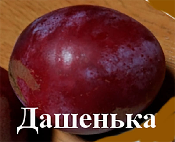 Слива Дашенька