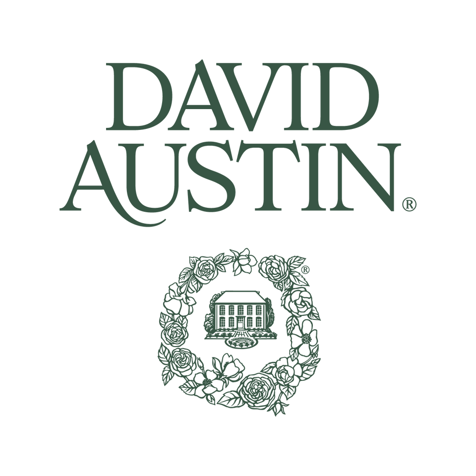 David Austin